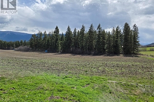 4462 Salmon River Road - Photo 47