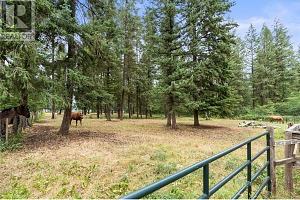 272 Lumby-Mabel Lake Road - Photo 36
