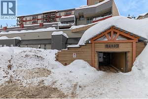 7470 Porcupine Road Unit# 502 - Photo 11