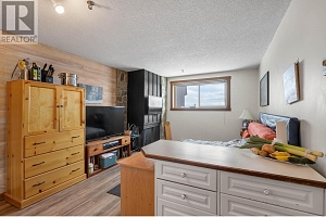 7470 Porcupine Road Unit# 502 - Photo 3