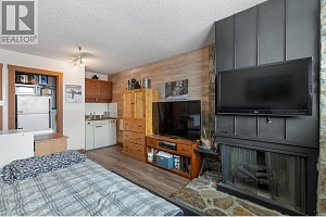 7470 Porcupine Road Unit# 502 - Photo 5