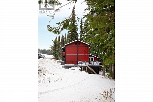 9870 Pinnacles Road - Photo 8