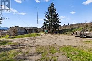 10114 Newene Road - Photo 6