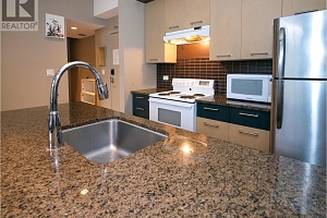 30 Monashee Road Unit# 303 - Photo 30