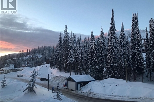 30 Monashee Road Unit# 303 - Photo 36