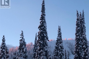 30 Monashee Road Unit# 303 - Photo 37