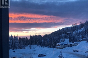 30 Monashee Road Unit# 303 - Photo 38