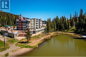 30 Monashee Road Unit# 303 - Photo 40