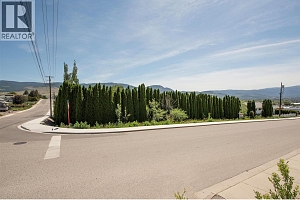 215 Arab Road - Photo 34