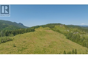 592 Bear Valley Road - Photo 91
