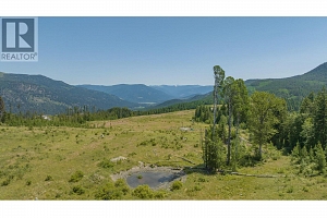 592 Bear Valley Road - Photo 96