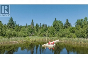 592 Bear Valley Road - Photo 45