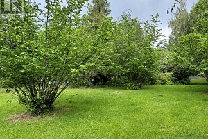 4150 Hughes Road - Photo 20