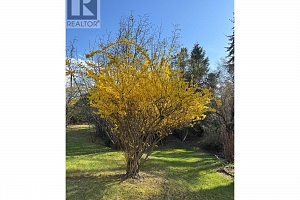4150 Hughes Road - Photo 7