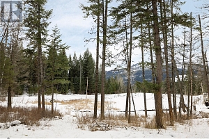 6739 Karjula Road - Photo 39