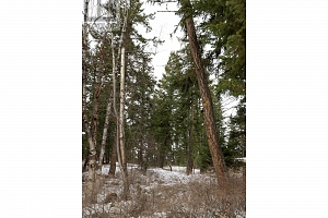 6739 Karjula Road - Photo 40