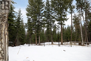 6739 Karjula Road - Photo 6