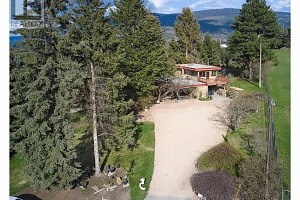 239 Stepping Stones Crescent - Photo 6