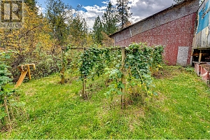 2860 Highway 97 North - Photo 30