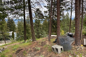 1638 West Kelowna Road - Photo 10