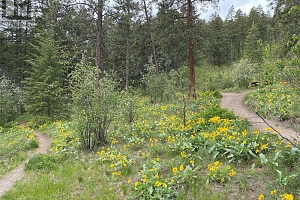 1638 West Kelowna Road - Photo 5