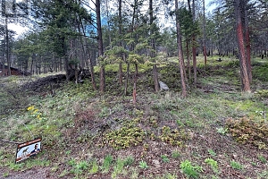 55 Winchester Road - Photo 12