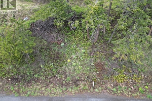 55 Winchester Road - Photo 3