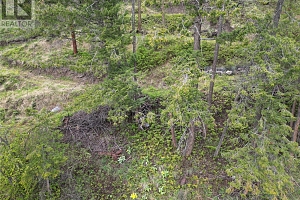 55 Winchester Road - Photo 4