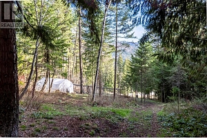 8028 Jackpine Road - Photo 77