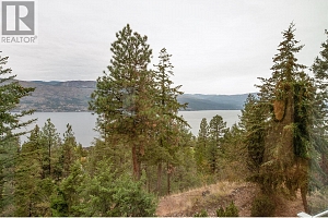 1293 CAMP Road - Photo 36