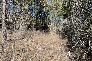 10451 Westshore Road - Photo 10