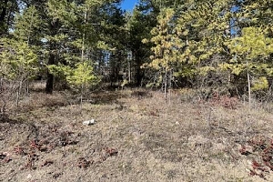 10451 Westshore Road - Photo 12