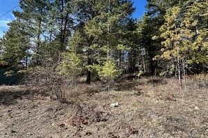 10451 Westshore Road - Photo 13