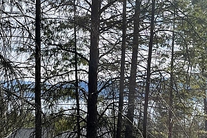 10451 Westshore Road - Photo 8