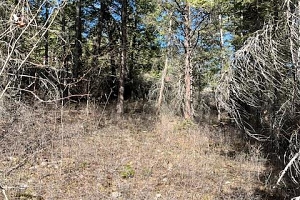 10451 Westshore Road - Photo 9