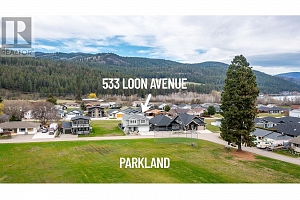 533 Loon Avenue - Photo 3