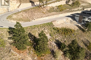 3548 Arrowroot Drive - Photo 15
