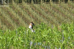 3240 Pooley Road - Photo 30