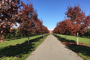 3240 Pooley Road - Photo 31