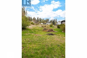 2621 Rufli Road - Photo 9