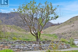 716 Petterson Road - Photo 11