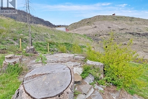 716 Petterson Road - Photo 40
