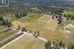 3310 Mathews Road - Photo 44