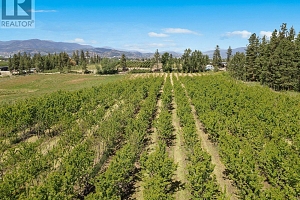 3310 Mathews Road - Photo 48