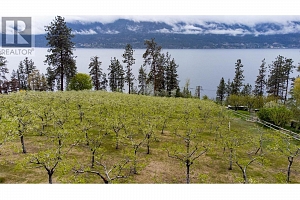 Lot 28 Okanagan Centre Road W - Photo 11