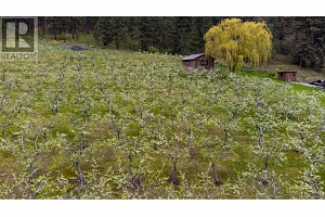 Lot 28 Okanagan Centre Road W - Photo 9