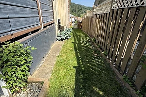 27 Preston Crescent - Photo 38