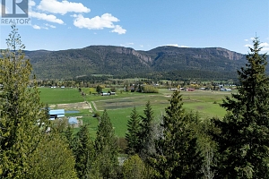 6740 Highway 97A Highway - Photo 5