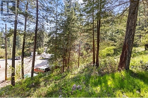 50 Hillside Drive Lot# 169 - Photo 5