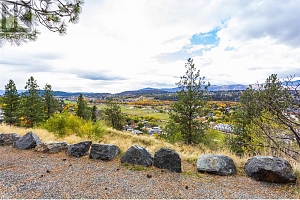 11482 Darlene Road - Photo 42